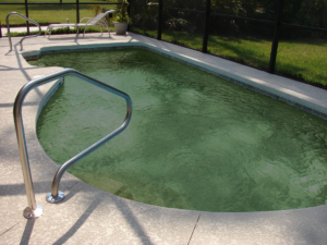 Murky Pool Water cleaning Before